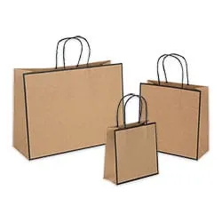 Sophie Retail Shopper Natural- 10" x 10" x 4"